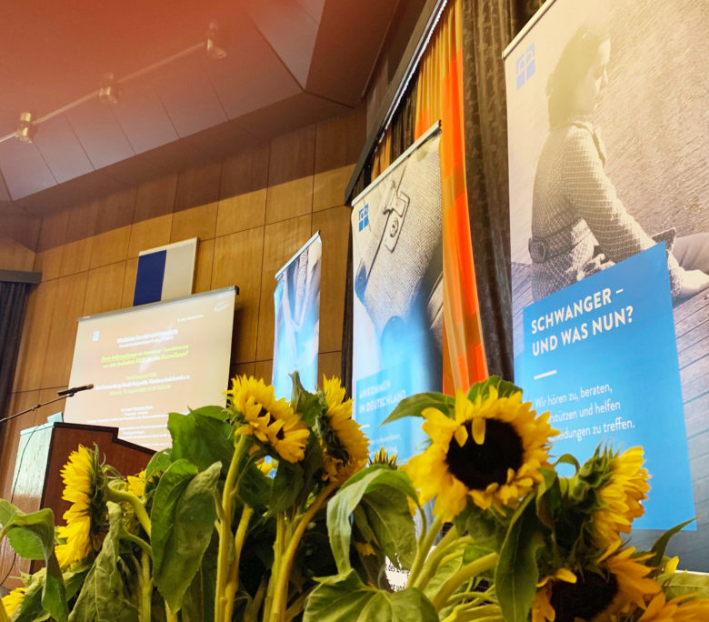 Sonnenblumen vor Plakaten der Diakonie-Schwangerenberatung im Ratssaal in Sankt Augustin